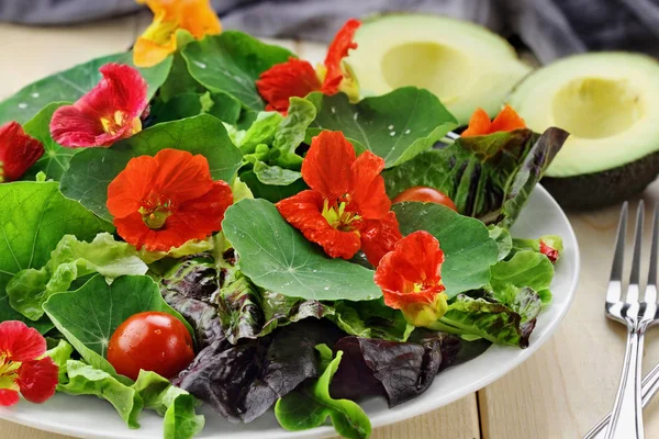 Čerstvý salát s Nasturtium květy — Stock fotografie