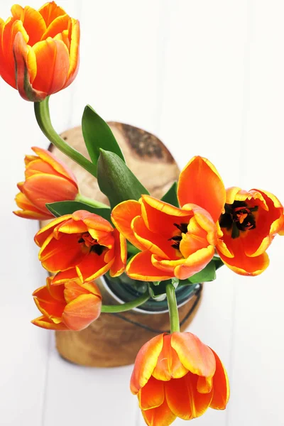 Oranžové a žluté tulipány — Stock fotografie