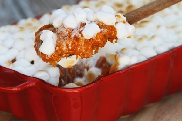 Cucharada de cazuela de patata dulce al horno con mini malvaviscos — Foto de Stock