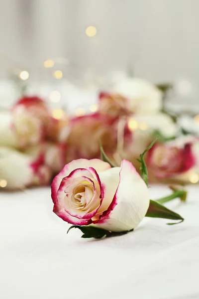 White and Red Roses with Fairy Lights — Stock Photo, Image