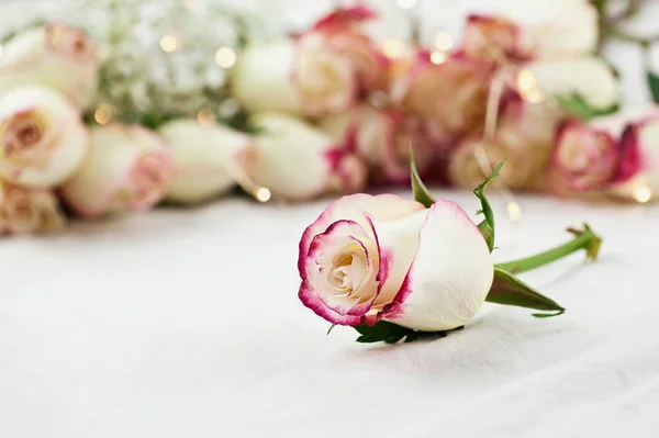 Roses blanches et rouges avec lumières de fées douces — Photo