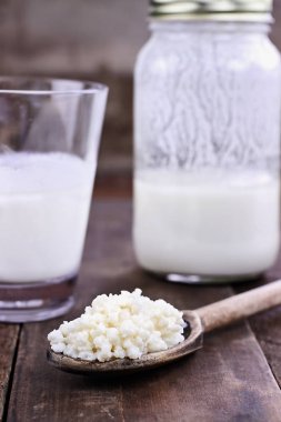 Taze Kefir taneleri ve Kefir süt