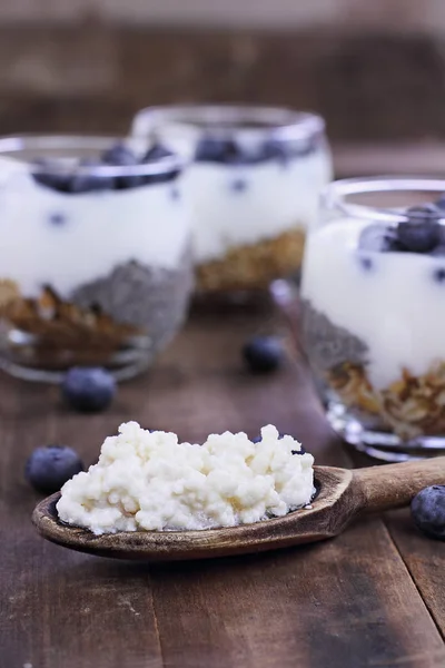 Kefir taneleri ve yoğurt parfe — Stok fotoğraf