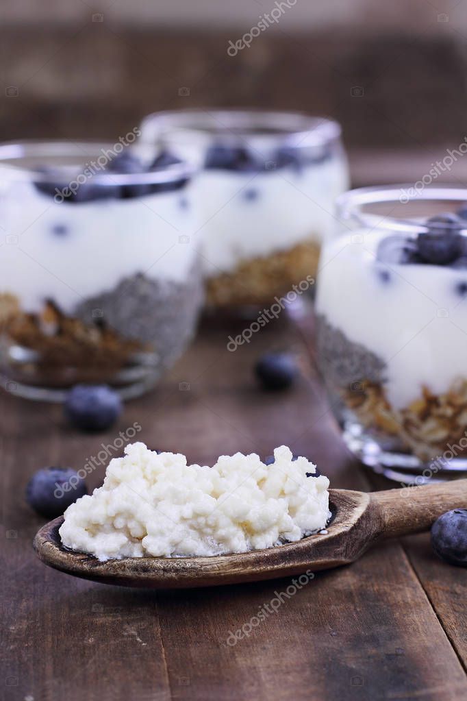 Kefir Grains and Yogurt Parfait — Stock Photo © StephanieFrey 187982888