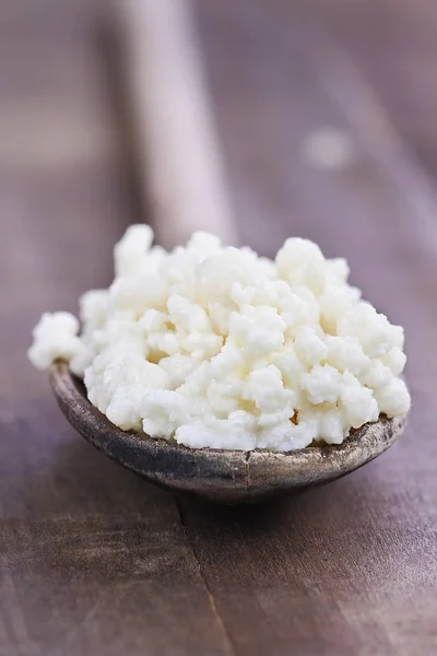 Wooden Spoon with Fresh Kefir Grains — Stock Photo, Image