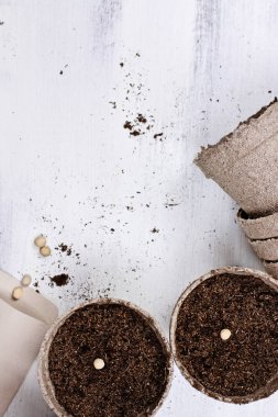 Turba tencere fide ve tohum