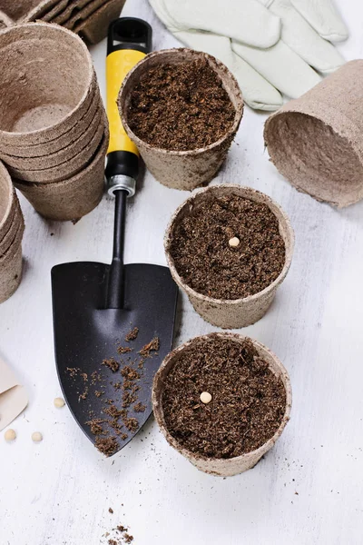 Planting Vegetable Seeds — Stock Photo, Image