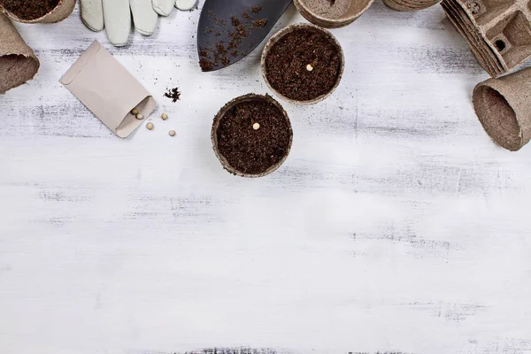 Planten zaden-achtergrond — Stockfoto