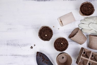 Tohum, fide turba tencere ve Bahçe aletleri 