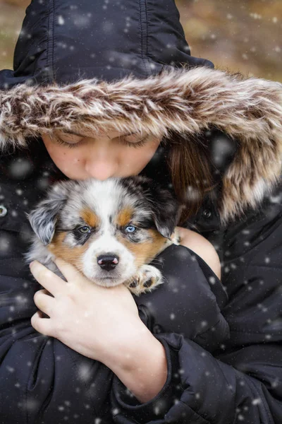 Malchi the Australian Shepherd Puppy Dog — Stock Photo, Image