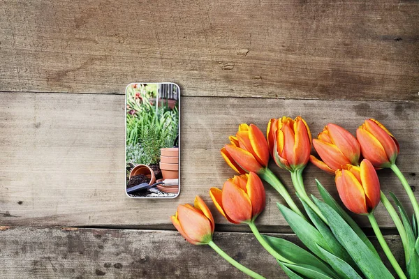 Telefone celular com cena de jardim e tulipas — Fotografia de Stock