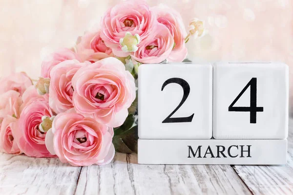 24 de marzo Bloques de calendario con Ranunculus rosa —  Fotos de Stock