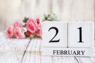 21 Şubat Takvim Blokları Pembe Ranunculus Arkaplanda
