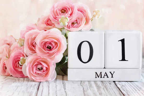 White Wood Calendar Blocks Date May 1St Pink Ranunculus Flowers — Stock Photo, Image