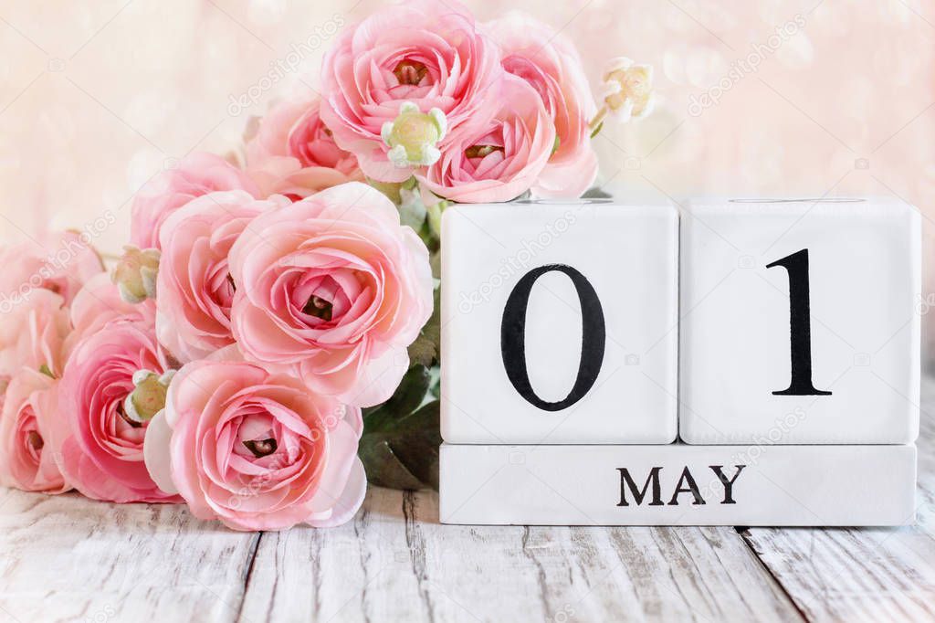 White wood calendar blocks with the date May 1st and pink ranunculus flowers over a wooden table. Selective focus with blurred background. 