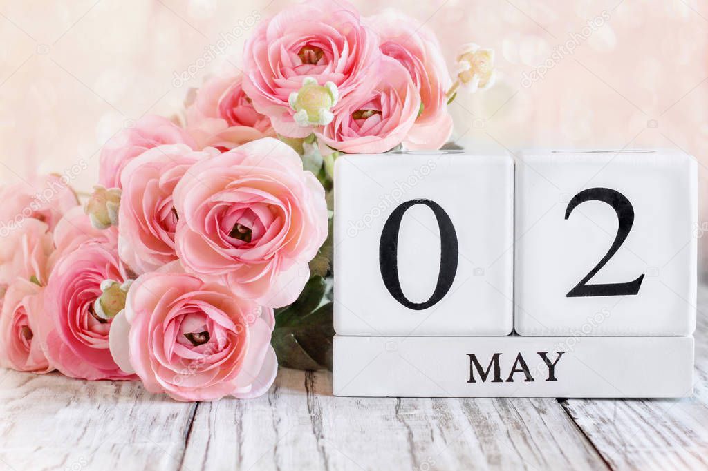 White wood calendar blocks with the date May 2nd and pink ranunculus flowers over a wooden table. Selective focus with blurred background. 