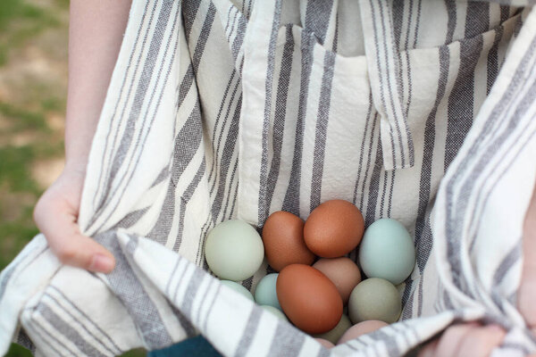 Close up of a woman's hands, holding organic colorful eggs in her apron. Selective focus with extreme shallow depth of field and blurred background. 