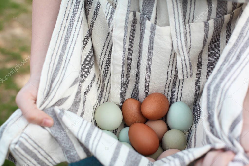 Close up of a woman's hands, holding organic colorful eggs in her apron. Selective focus with extreme shallow depth of field and blurred background. 