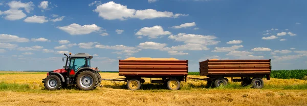Современный красный трактор на сельскохозяйственном поле в солнечный летний день — стоковое фото