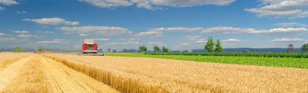 Kombajn do łączenia, zbiory pszenicy na polach uprawnych na słoneczny letni dzień — Zdjęcie stockowe