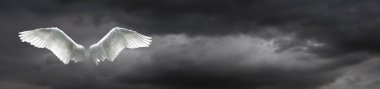 Angel wings ile fırtınalı gökyüzü arka plan