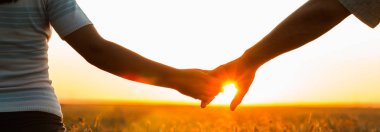 Güneşli yaz gününde buğday tarlasında el ele tutuşan genç çift