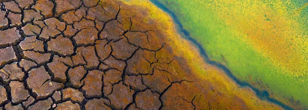 Polluted water and cracked during summer drought — Stock Photo, Image