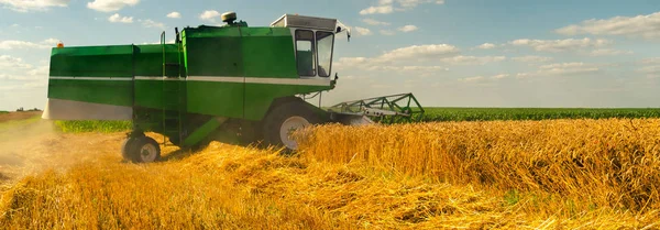 Combine harvester harvesting wheat on sunny summer day — Stock Photo, Image