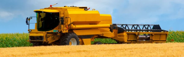 Maaimachine combineren tarwe oogsten op zonnige zomerdag — Stockfoto