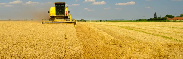 Kombajn kombinovat, sklizeň pšenice na slunečný letní den — Stock fotografie