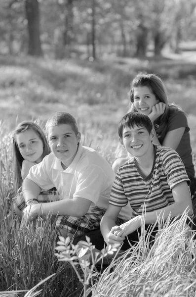 Quatro adolescentes felizes meninos e meninas se divertindo no prado no dia ensolarado de verão — Fotografia de Stock