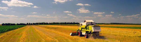 Combina la mietitrebbia raccogliendo grano durante il raccolto sulla sommità soleggiata — Foto Stock