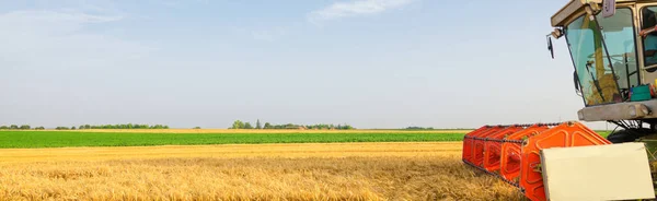 Maaimachine combineren tarwe oogsten op zonnige zomerdag — Stockfoto