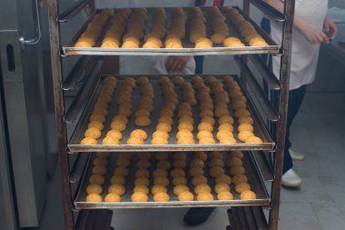 Pastane taze pişmiş küçük ekmekler