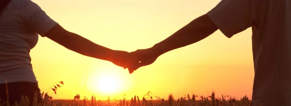 Casal de mãos dadas em pé no campo de trigo e observando o pôr do sol — Fotografia de Stock