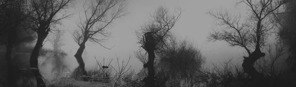 Spooky dark landscape in autumn — Stock Photo, Image