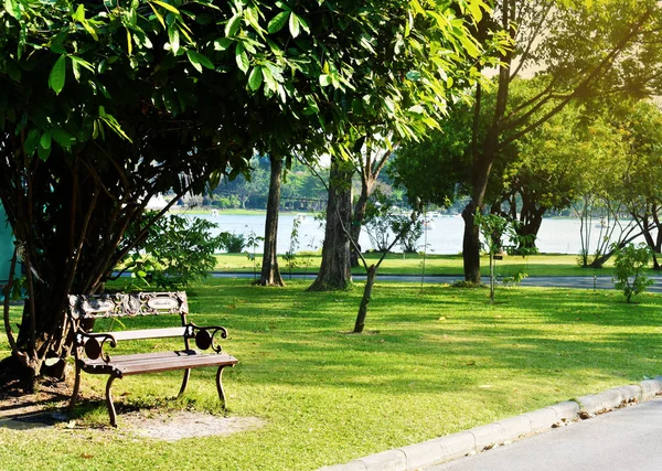 バンコクの公園の木の下のベンチ — ストック写真