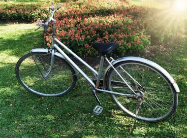 Bisiklet park ile çiçek çiçeklenme.