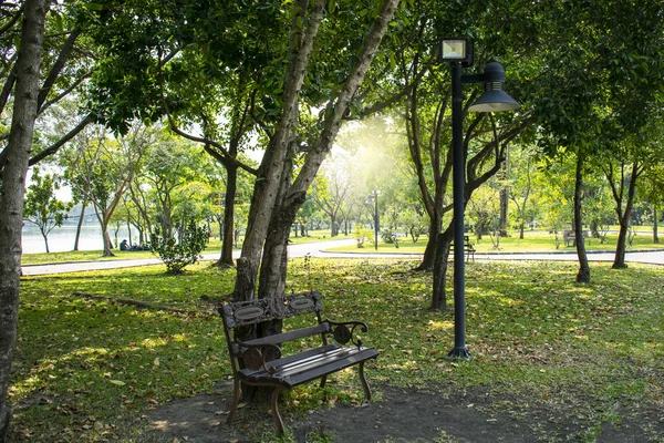 Eine bank unter einem baum und beleuchtung im gartenpark in bangkok — Stockfoto