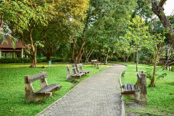 公園内の遊歩道の横にあるツリーの下のベンチ — ストック写真