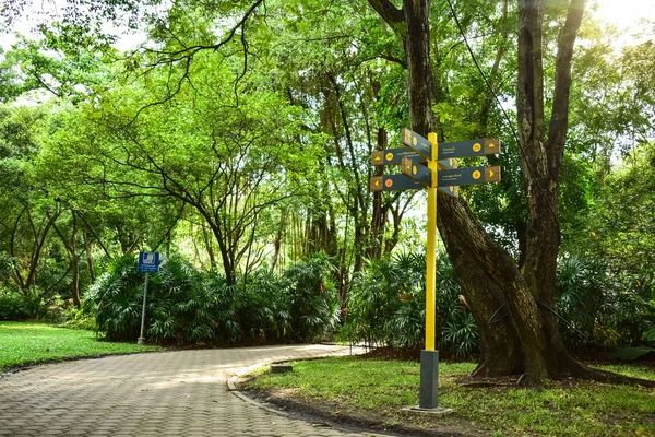 Wegweiser, Gehweg und Bäume im Park — Stockfoto
