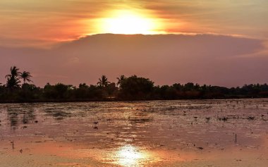 Alacakaranlık saat pirinç alan, rura dikim için toprak hazırlama