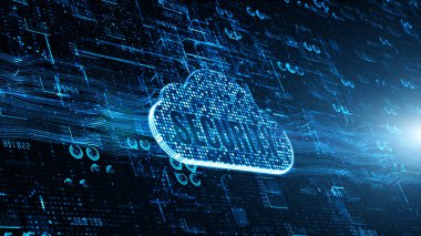 Teknoloji ağı ve veri bağlantısı, Güvenli Veri Ağı Digi