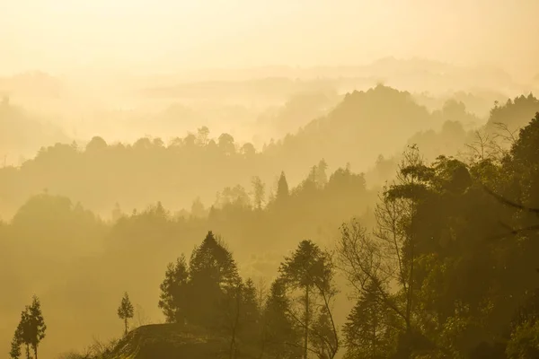 Пагорби Перекриваються Ранковому Тумані — стокове фото