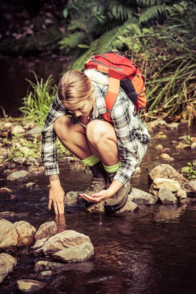 Escursionista Bere dal torrente — Foto Stock