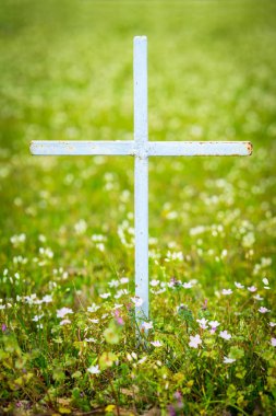 Çiçekler alanına çapraz