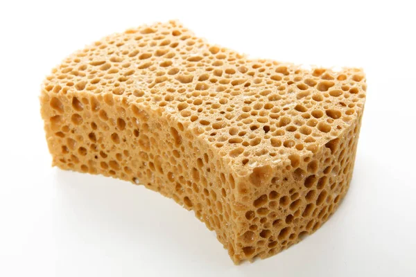 A sponge with white background — Stock Photo, Image