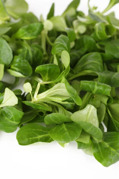 Green fresh salad — Stock Photo, Image