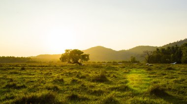 Goa, Hindistan alanında güzel gün batımı