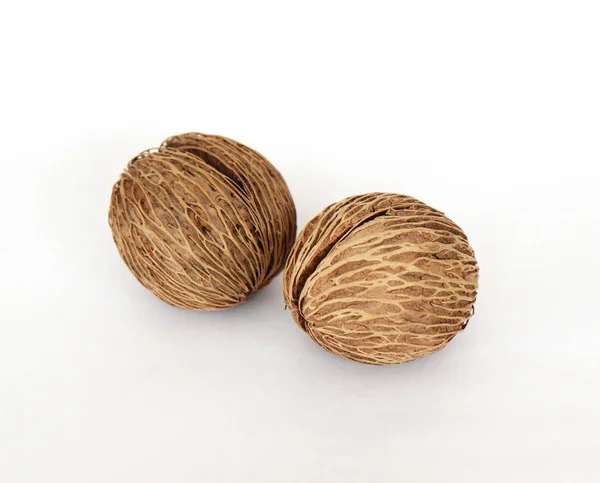 Suché kokosové ořechy izolovaných na bílém pozadí. Kokos sušený — Stock fotografie